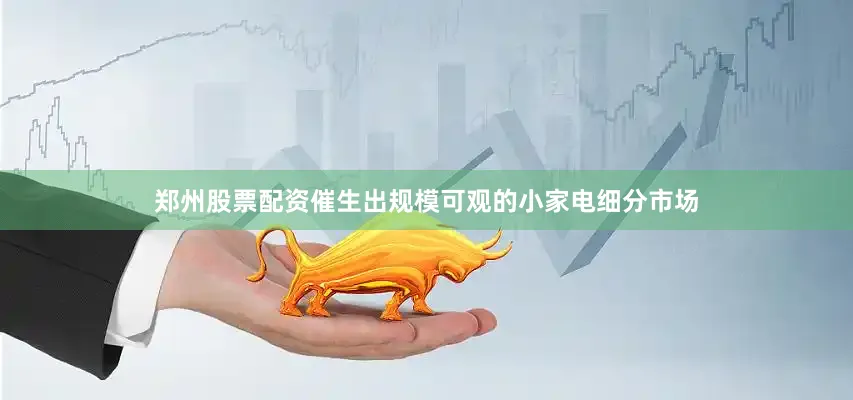 郑州股票配资催生出规模可观的小家电细分市场