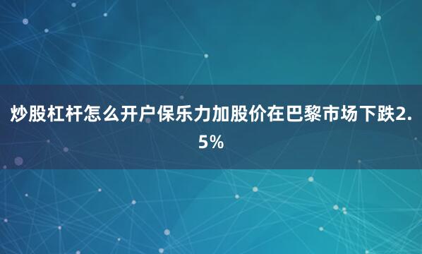 炒股杠杆怎么开户　　保乐力加股价在巴黎市场下跌2.5%