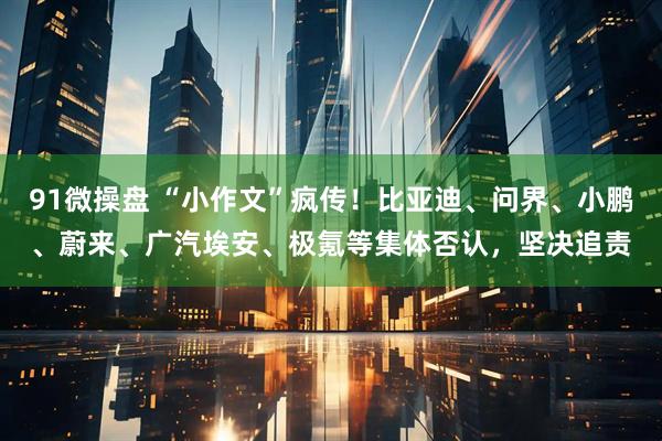 91微操盘 “小作文”疯传！比亚迪、问界、小鹏、蔚来、广汽埃安、极氪等集体否认，坚决追责