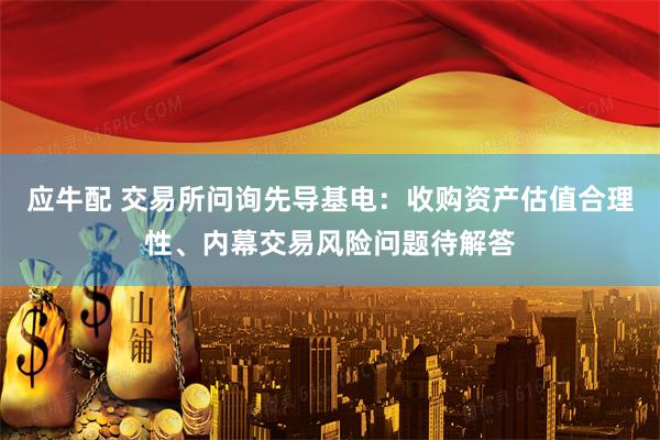 应牛配 交易所问询先导基电：收购资产估值合理性、内幕交易风险问题待解答
