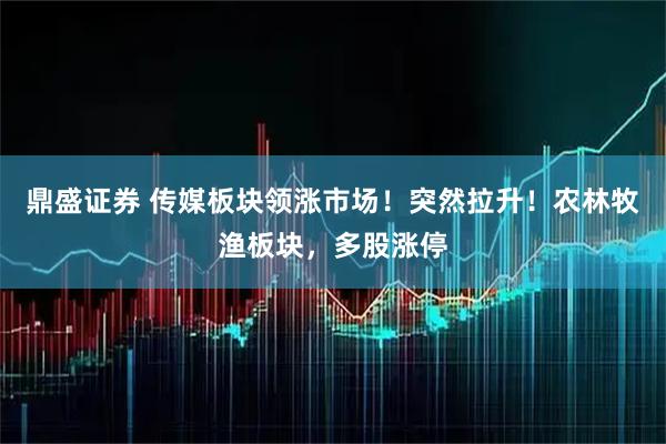 鼎盛证券 传媒板块领涨市场！突然拉升！农林牧渔板块，多股涨停